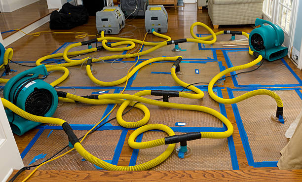 Professional Crawl Space Water Removal technician working in Maysville, OK